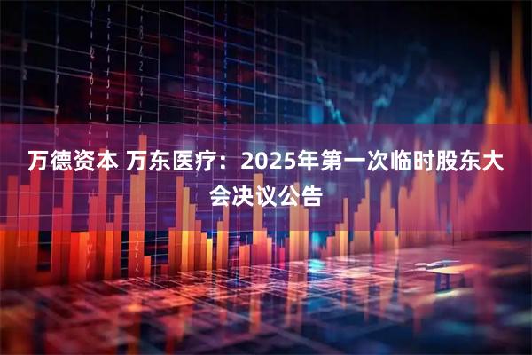 万德资本 万东医疗：2025年第一次临时股东大会决议公告