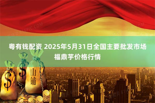 粤有钱配资 2025年5月31日全国主要批发市场福鼎芋价格行情