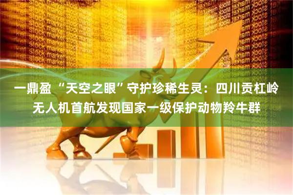 一鼎盈 “天空之眼”守护珍稀生灵：四川贡杠岭无人机首航发现国家一级保护动物羚牛群