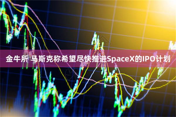 金牛所 马斯克称希望尽快推进SpaceX的IPO计划